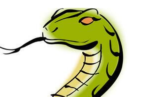 水瓶座生气时像什么动物