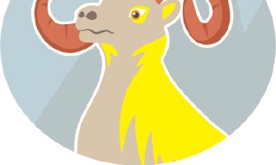 摩羯座男人性格详解