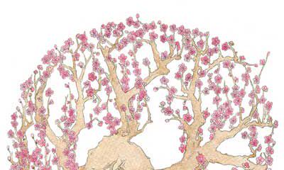 摩羯座的星座守护花是什么？