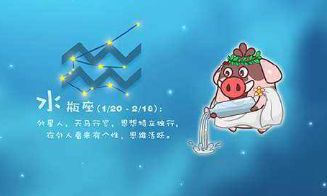 2月13日属于什么星座(水瓶座)
