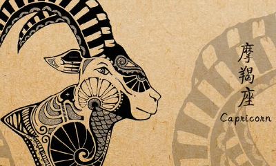 摩羯座与双鱼座配对