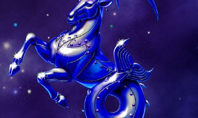 魔羯座事业,魔羯座男人的事业