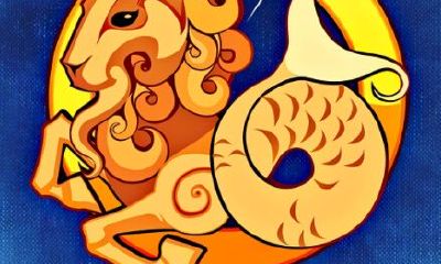 太阳魔羯：最保守的极权派