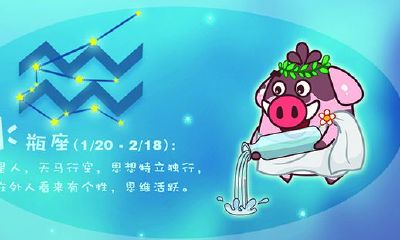 月亮水瓶：古灵精怪