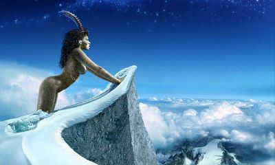 魔羯座的经营能力