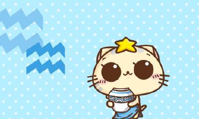 水瓶座与金牛座配对