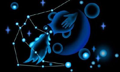 水瓶座与双子座配对