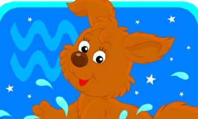 水瓶座图片大全【专辑74】