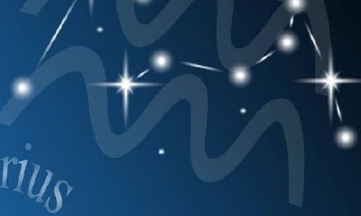 水瓶座与水瓶座配对