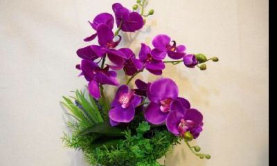 哪些花适合射手座的个性