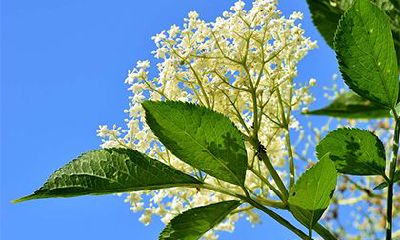 2022年农历八月吉日一览，农历八月又叫什么月？