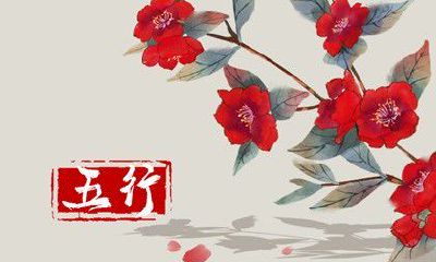 五行缺木的人吸财方式 摆放发财树