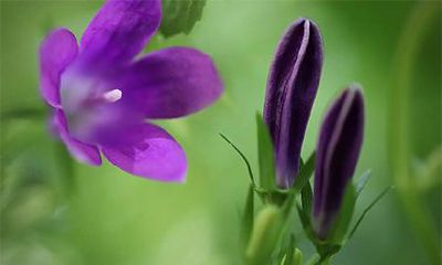 2022年农历十月黄道吉日有几天是哪几天？