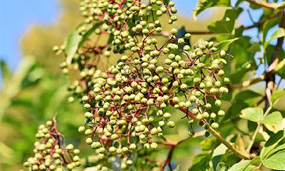 2022年秋季破日凶日的农历时间日期查询