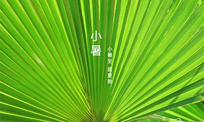 小暑节气是入伏吗？2022年小暑节气是什么时候？