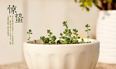 2022年惊蛰是哪一天几点几分？惊蛰节气吃什么？