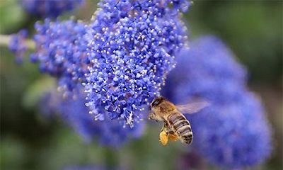 2022年春天有几天黄道吉日，黄道吉日的农历时间一览