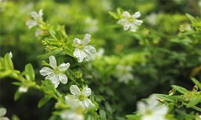 2022年春季破日凶日的阳历时间查询