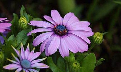 2022年农历六月的黑道日详细介绍，有哪几天是凶日？