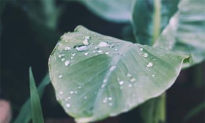 2022年夏天的黄道吉日，阳历黄道吉日精选