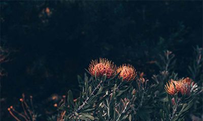 2022年冬季有哪些黑道凶日需要注意？