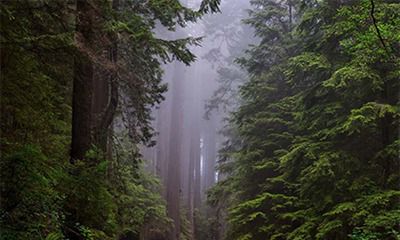 2022年年底有哪些日子是黑道凶日？