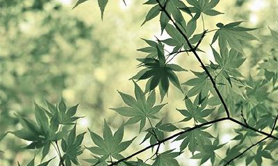 2022年下半年的破日凶日，农历凶日时间一览