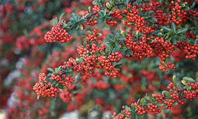 2022年春季凶日破日一览表！黄历中的破日是哪些？