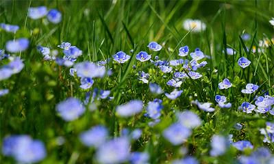 2022年秋季凶日破日有哪些？什么是四离日？