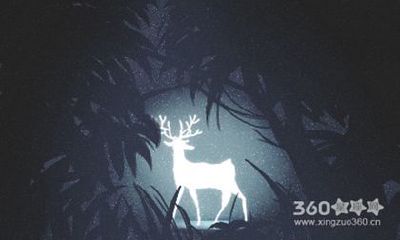 属虎人眼中上司是什么样子？