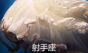 金星射手座的梦中情人