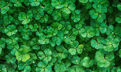 2022年下半年有哪些日子是凶日破日？