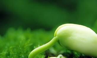 解读射手座爱争高低不认输是啥？