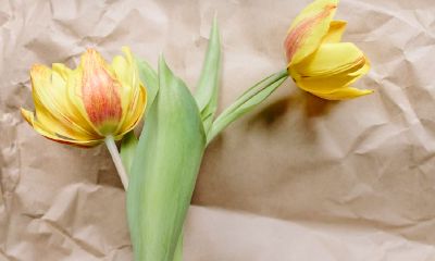 2022年不宜探病替人亡的日子大全，探病礼仪介绍