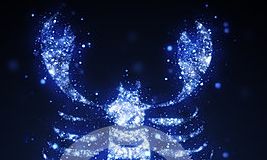 天蝎座五一旅游总结