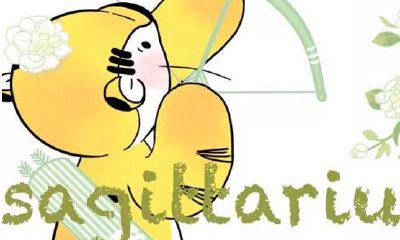 射手女和双子男配对