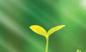 射手座养生之道该从何做起？