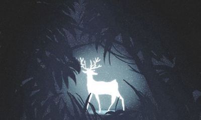 属虎的人最讨厌什么天气