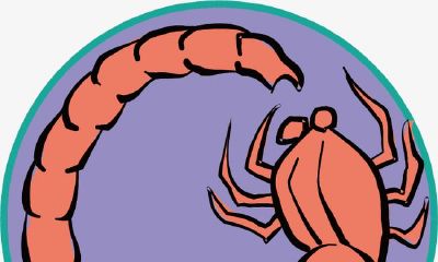 天蝎座的过人之处,12星座应当向天蝎座学习的地方？