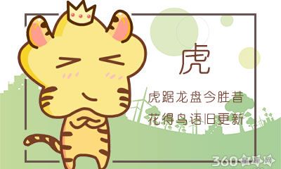 属虎人会在谁面前打出感情牌