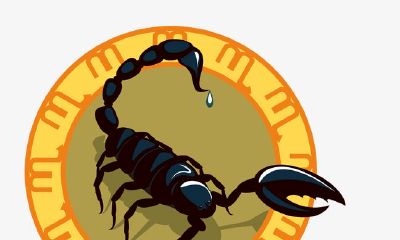 太阳天蝎：最极端的强硬派