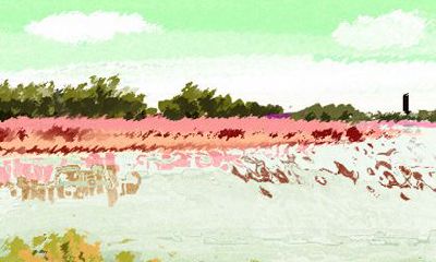 生肖虎因为名声太坏没人靠近