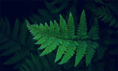 2022年农历吉日：2022年秋季开业开张黄道吉日