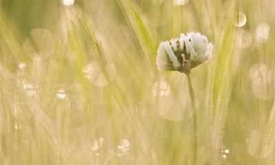好听的水瓶座英文名字男生