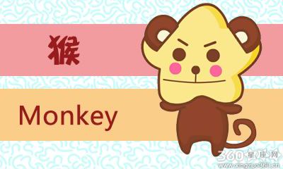 属猴人在买过最奇葩的东西是什么