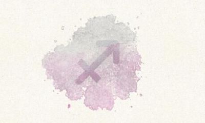 侮辱射手座的后果