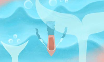 属虎男靠什么留住喜欢的人