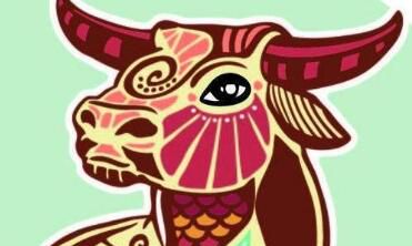 射手座生气时像什么动物