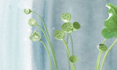 2018年属虎人的财运如何？