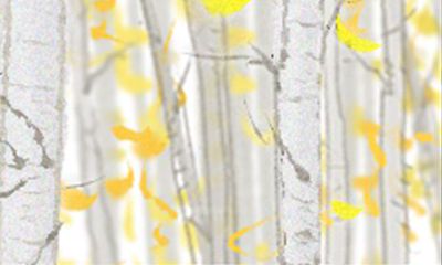 面对突发事件属猴人如何应对